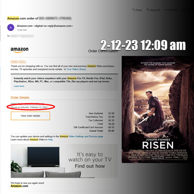 Risen-Amazon-Purchase-Email-thumb-400x400