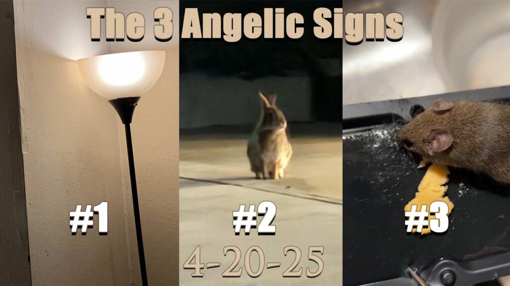 3-angelic-signs