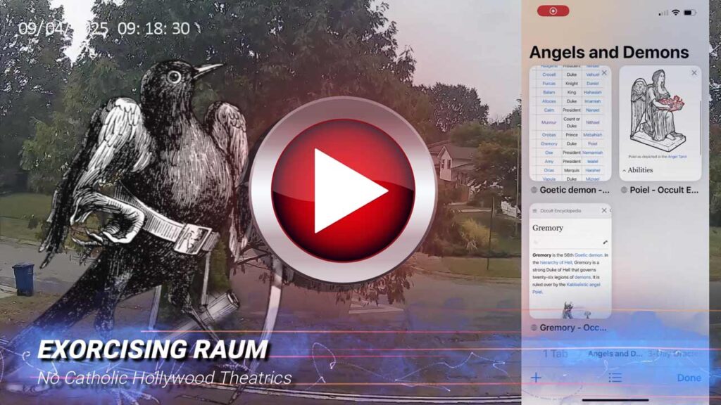 9-6-25-Raum-Appearance-Thumb