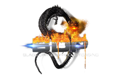 Blacc Dragon Productions Inc. Official Logo